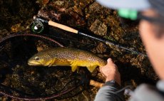 Mu�ka�sk� set - Guideline Embrace Euro Nymph SH