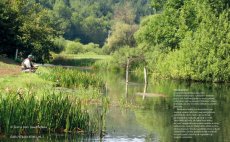 Okouzlujc mukaen - Nhled do knihy