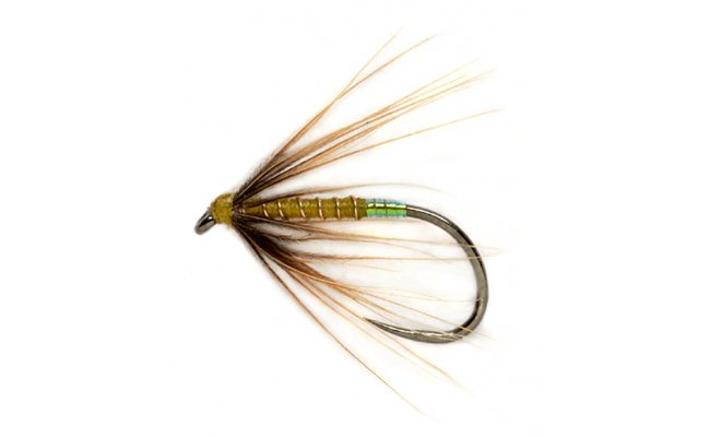 Procterv olivov mokr pavouek s perleovm tipem B/P Procterv olivov mokr pavouek s perleovm tipem B/P, vel. 14