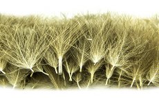 Vbrov CDC pe Quill & Fly 50 ks krmov