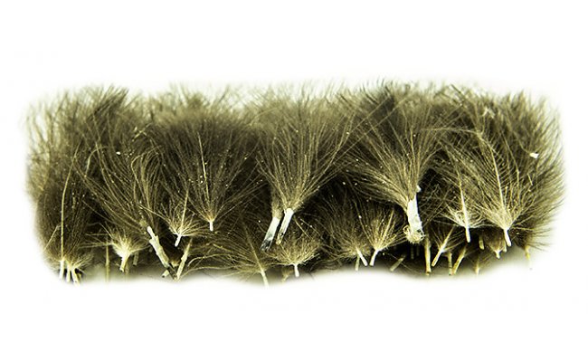 Vbrov CDC pe Quill & Fly 50 ks tmav prodn Vbrov CDC pe Quill & Fly 50 ks tmav prodn