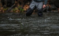 Mono indiktor Fulling Mill 30 m