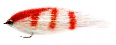 tikov rybikov streamer napodobujc zrannou rybku erveno-bl