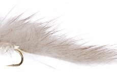 Mini zonker stbrno-ed