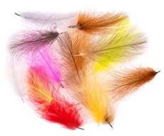 CDC Polish Quills