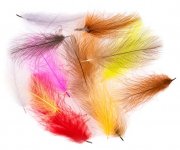 CDC peří Polish Quills