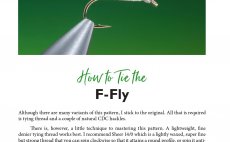 Flytying For Beginners - N�hled do knihy