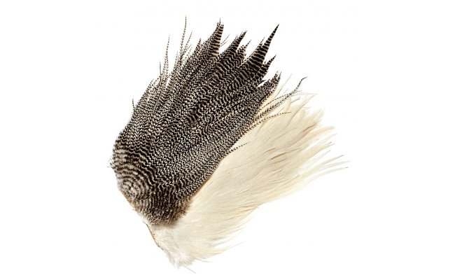 Genetick kohout sedlov skalpy Veniard Genetic Cock Saddles Grade 2 Genetick kohout sedlov skalpy Veniard Genetic Cock Saddles Grade 2 bl