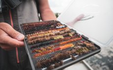 Krabika na muky Fulling Mill Guide Box Grey - V akci