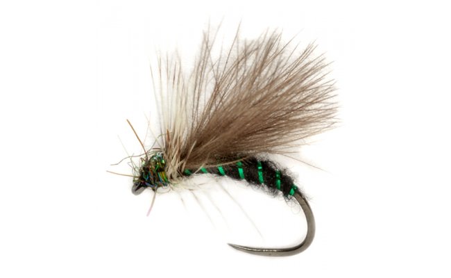 Procterv univerzln ern mravenec s CDC kdlem B/P Procterv univerzln ern mravenec s CDC kdlem B/P, vel. 14