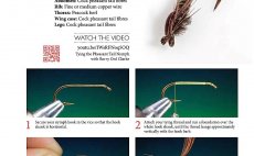 The Feather Bender's Flytying Techniques - Nhled do knihy
