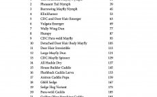 The Feather Bender's Flytying Techniques - Nhled do knihy