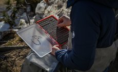 Krabika na muky Fulling Mill Guide Box Red - V akci