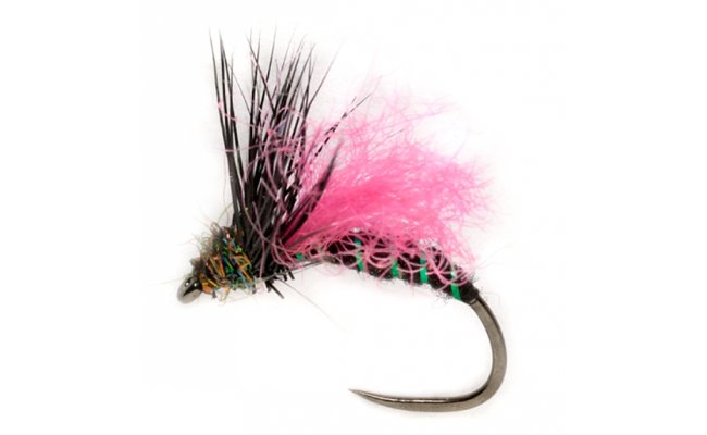 Procterv univerzln ern mravenec s rovm kdlem B/P Procterv univerzln ern mravenec s rovm kdlem B/P, vel. 14